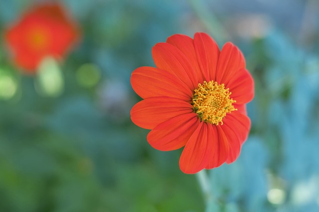获评10分！陈威全场完成12次扑救，力保海港客场龙门不失