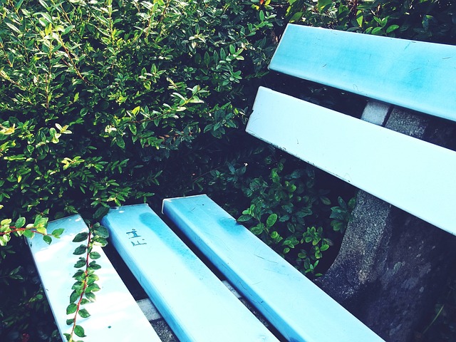 记者：利物浦暂时不会对伊萨克提出报价，一切取决于纽卡意愿